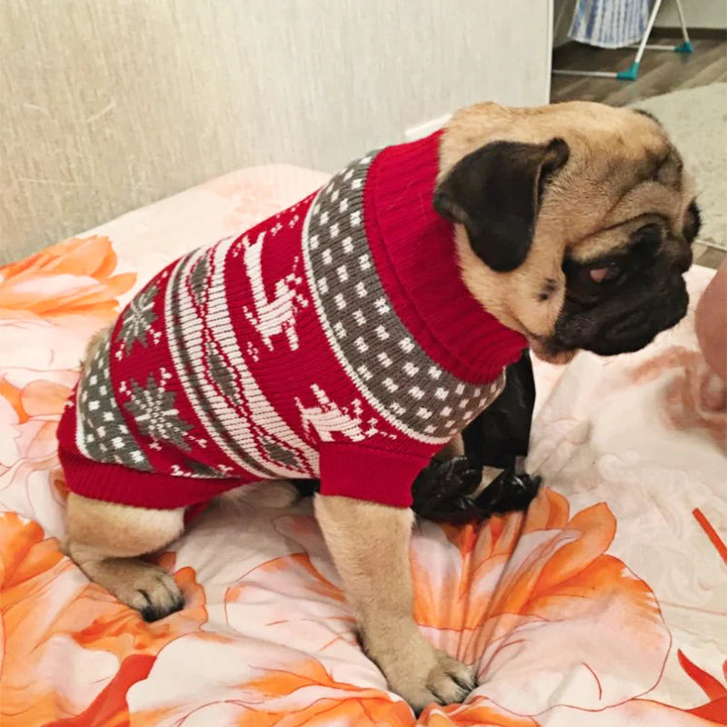 Warm Dog Clothes for Small Medium Dogs Knitted Cat Sweater Pet Clothing for Chihuahua Bulldogs Puppy Costume Coat Winter
