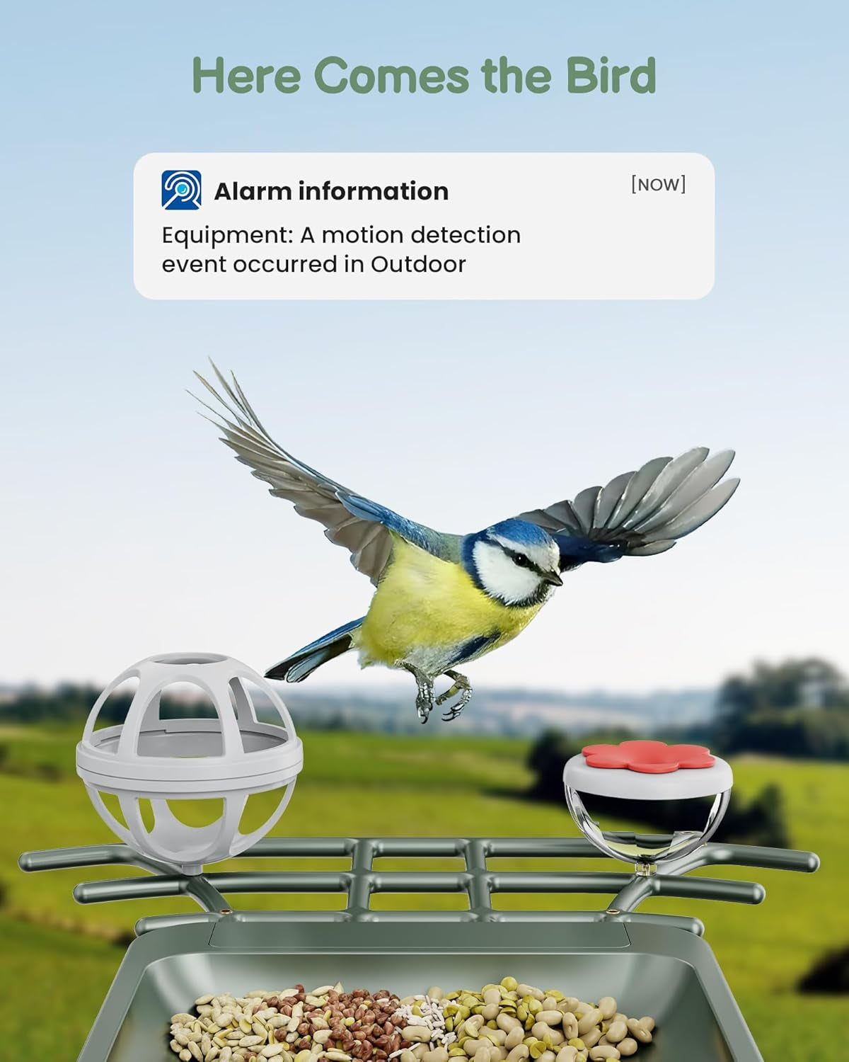 Bird Feeder with Camera Outdoor Solar: Smart Birdfeeder Cam for outside Garden - 2K HD Live Video Camera AI Recognition Visible Window Auto Capture - Bird Lover Gifts