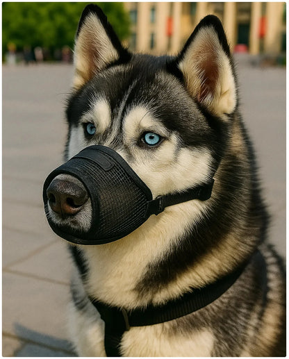 Breathable Mesh Dog Muzzle for Safe & Comfortable Walks