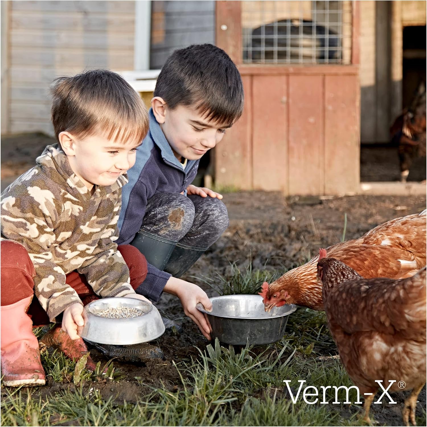 100% Natural Liquid for Poultry. Supports Intestinal Hygiene. Vet Approved. UFAS Assured. Contains Prebiotic for Gut Biome. Restores and Maintains Gut Vitality. Wormwood Free - 250Ml