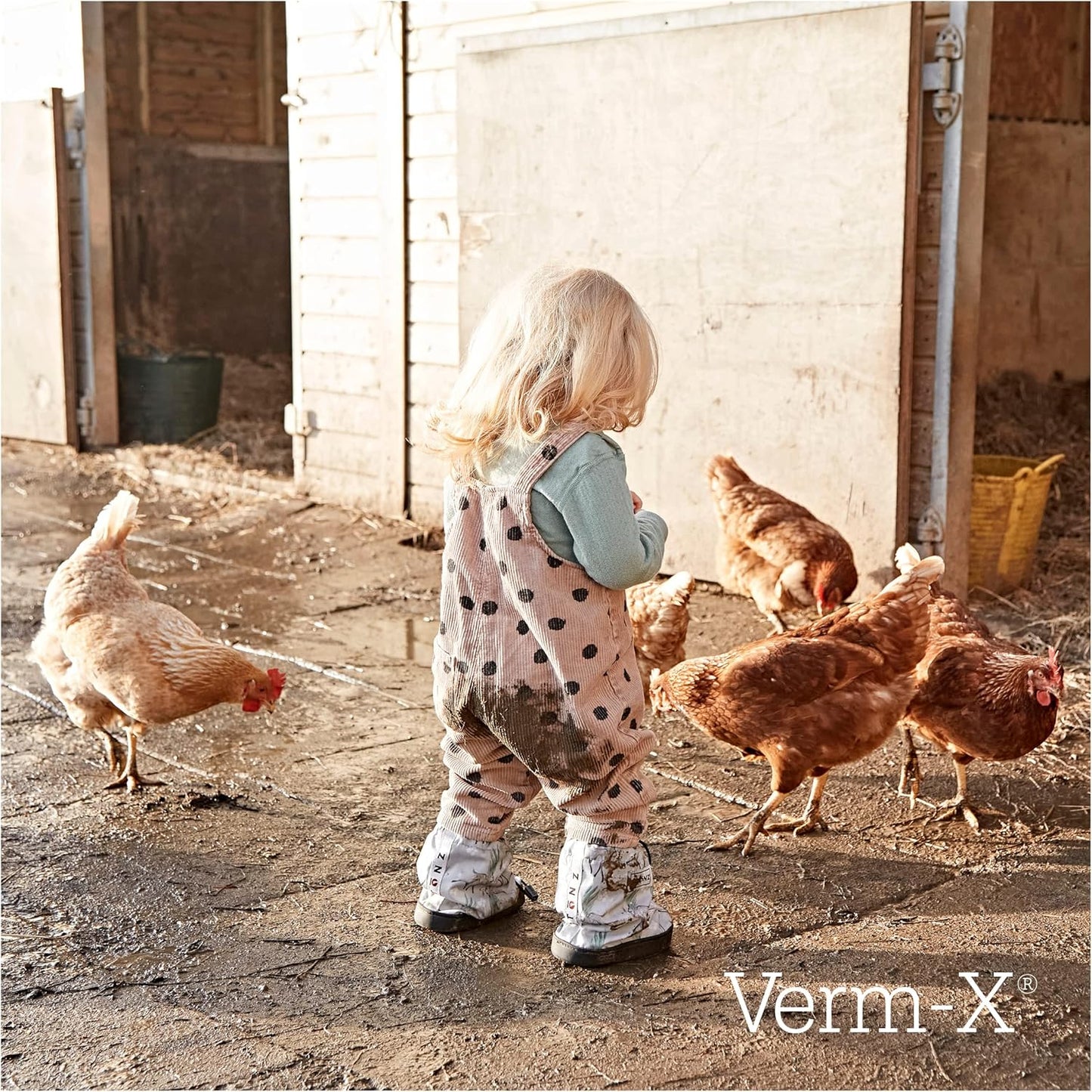 100% Natural Liquid for Poultry. Supports Intestinal Hygiene. Vet Approved. UFAS Assured. Contains Prebiotic for Gut Biome. Restores and Maintains Gut Vitality. Wormwood Free - 250Ml